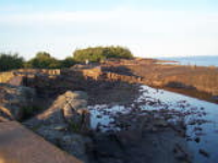 100_1642.jpg